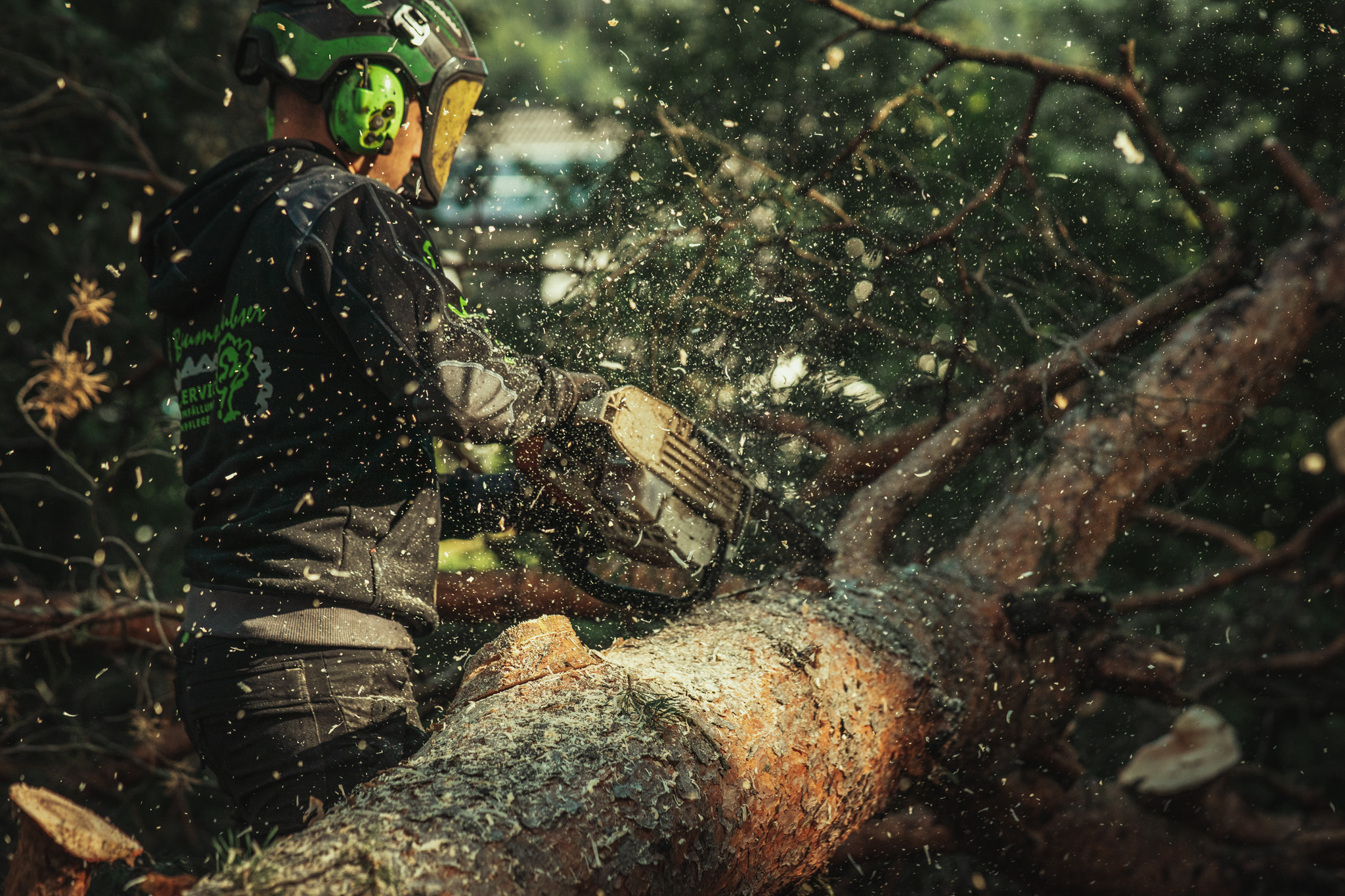 Baumschubser_Forst_-136