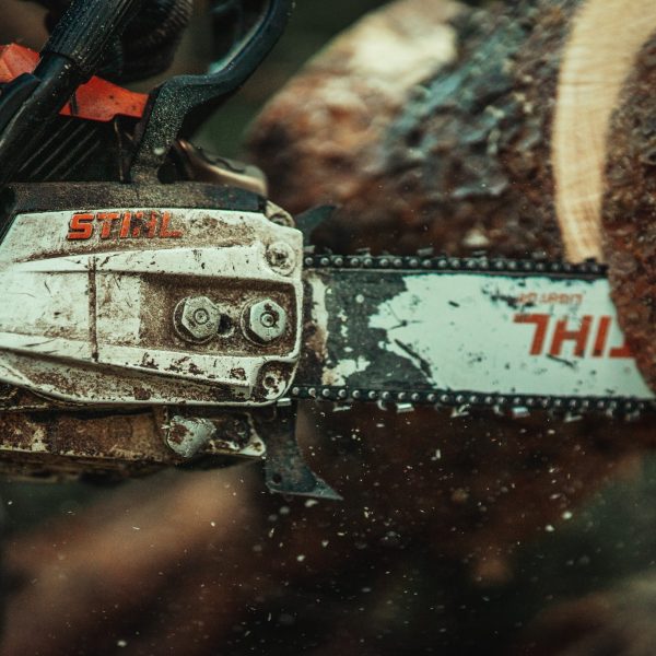 Baumschubser_Forst_-145