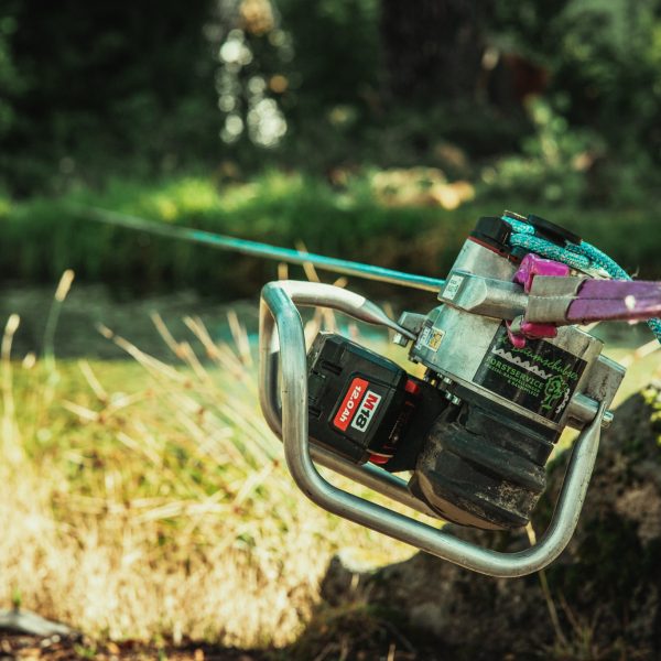 Baumschubser_Forst_-149