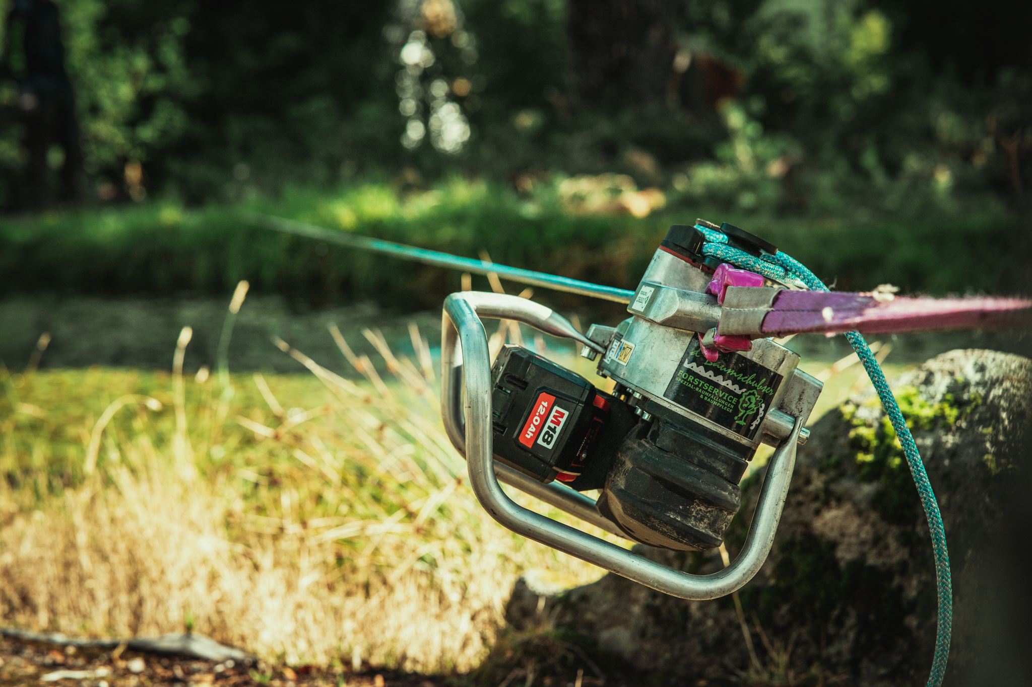 Baumschubser_Forst_-149