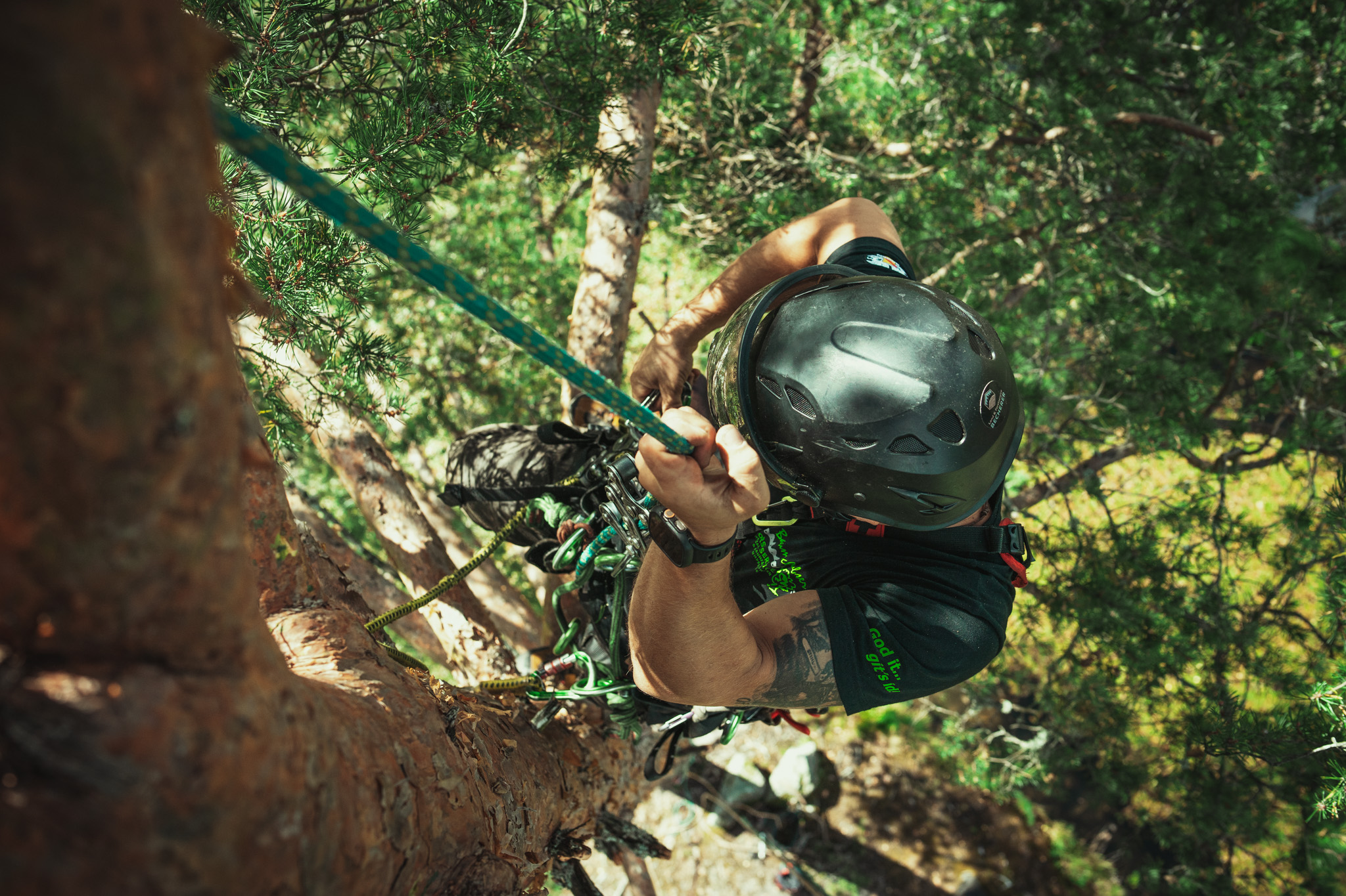 Baumschubser_Forst_-179