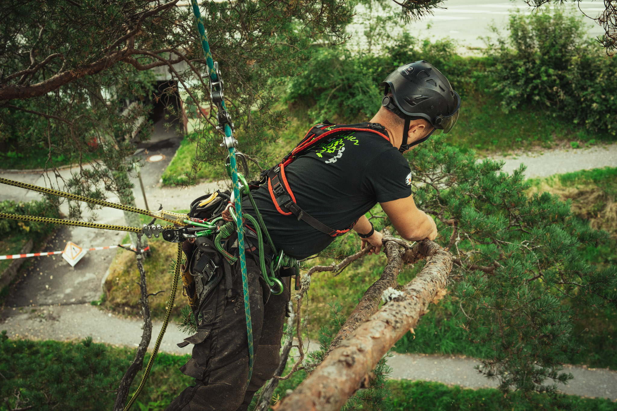 Baumschubser_Forst_-187