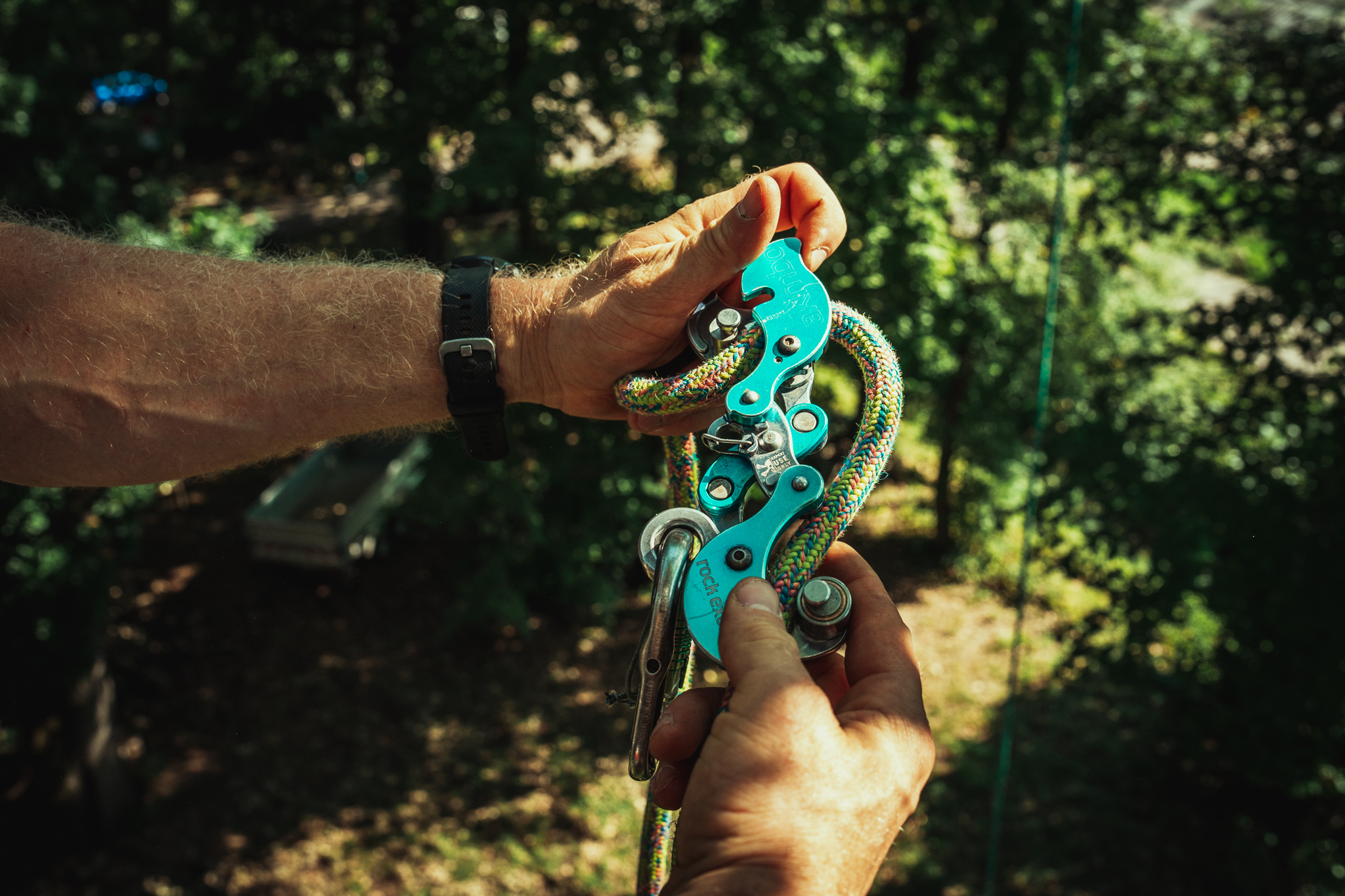 Baumschubser_Forst_-199