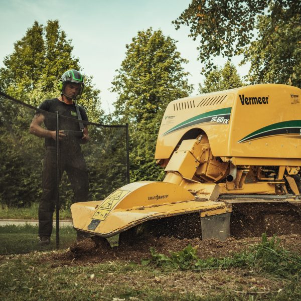 Baumschubser_Forst_-202