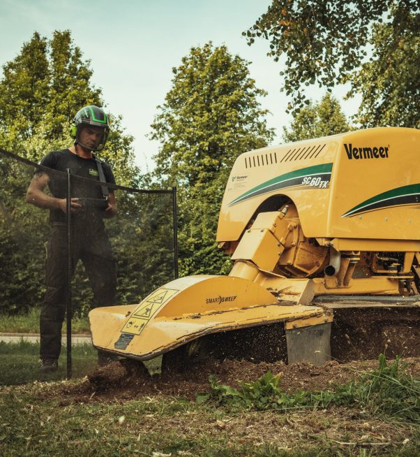 Baumschubser_Forst_-202