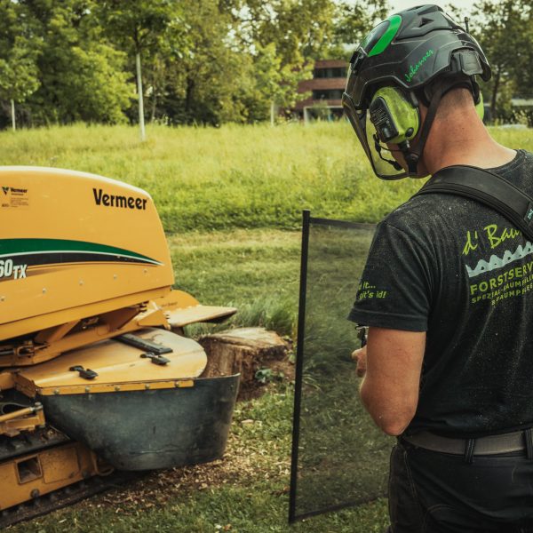 Baumschubser_Forst_-206