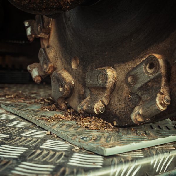 Baumschubser_Forst_-207