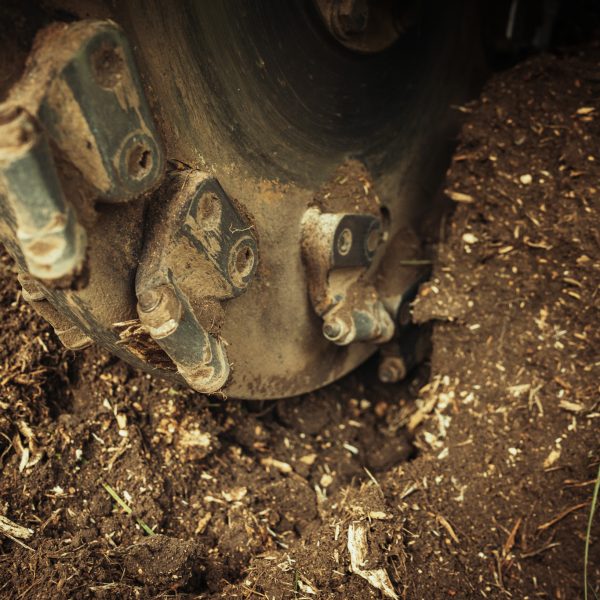 Baumschubser_Forst_-212