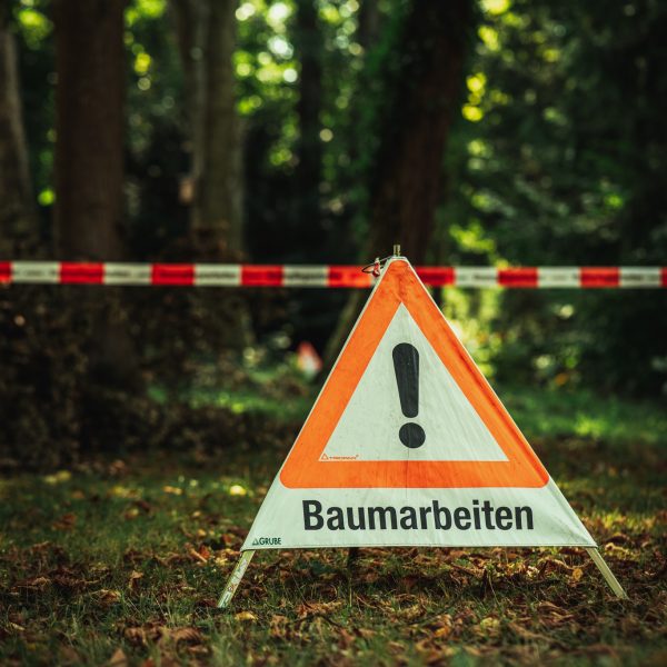 Baumschubser_Forst_-49