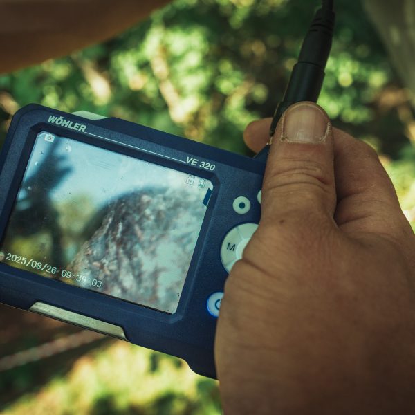 Baumschubser_Forst_-75