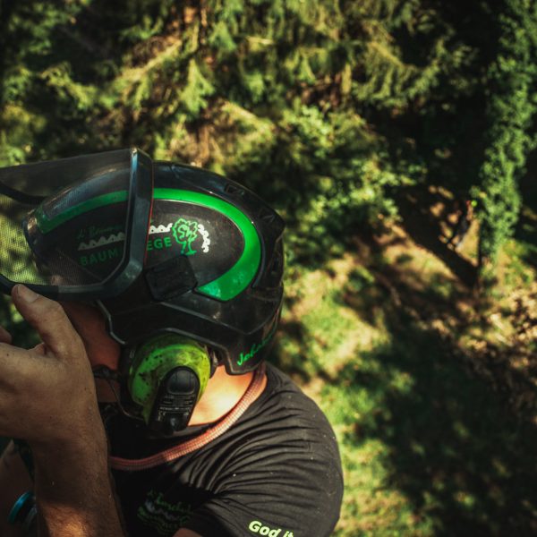 Baumschubser_Forst_-8