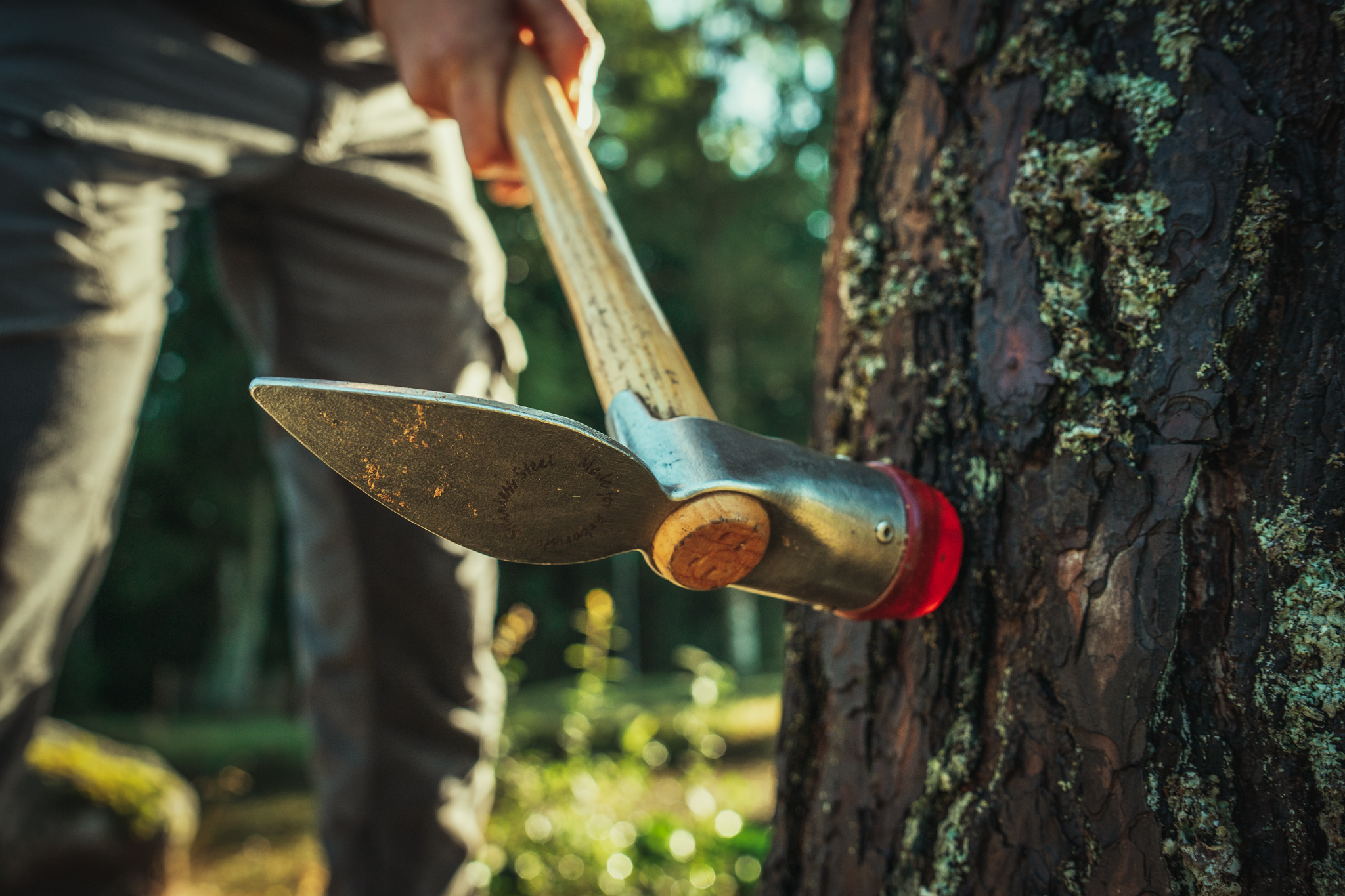 Baumschubser_Forst_-81