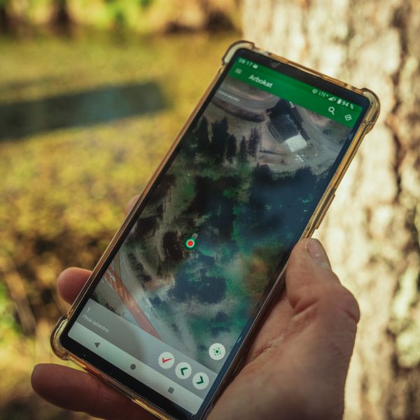 Baumschubser_Forst_-82