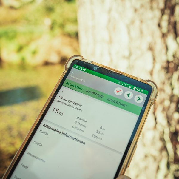 Baumschubser_Forst_-83