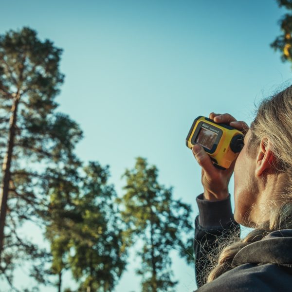 Baumschubser_Forst_-87