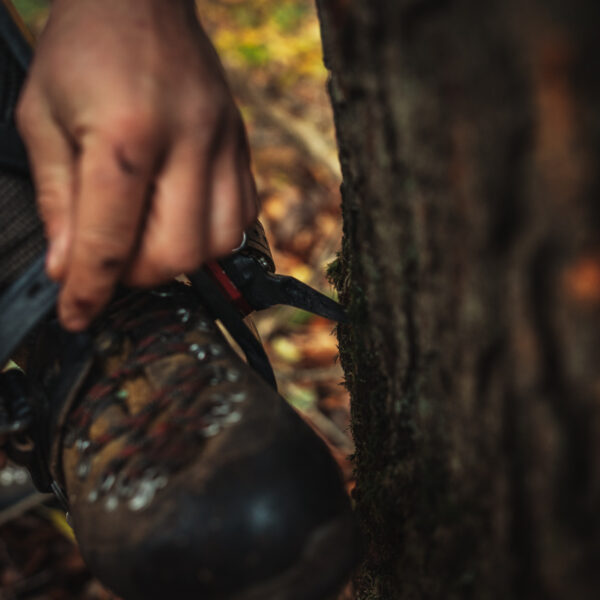 Sauerland Helifällung-142