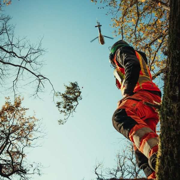 Sauerland Helifällung-162