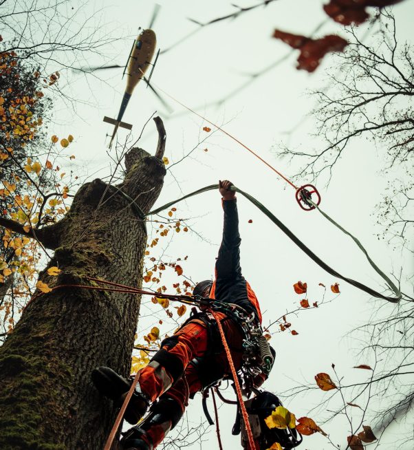 Sauerland Helifällung-56