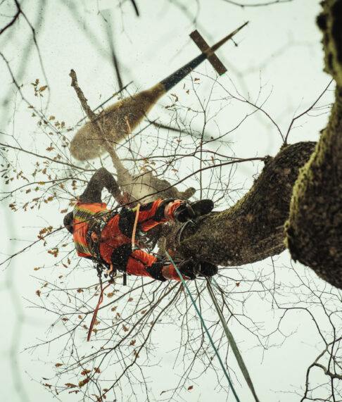 Sauerland Helifällung-87