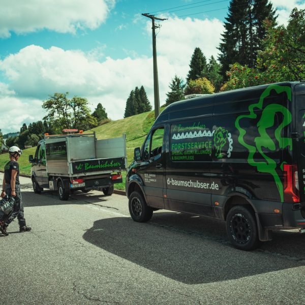 Baumschubser_Forst_-193