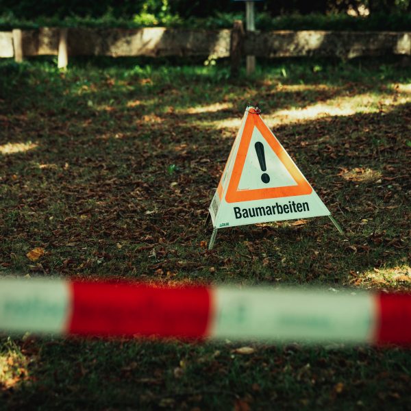 Baumschubser_Forst_-29