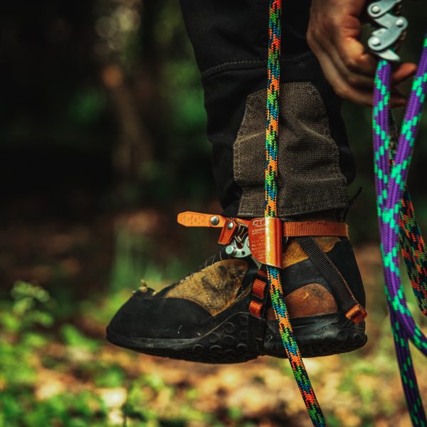 Baumschubser_Forst_-46