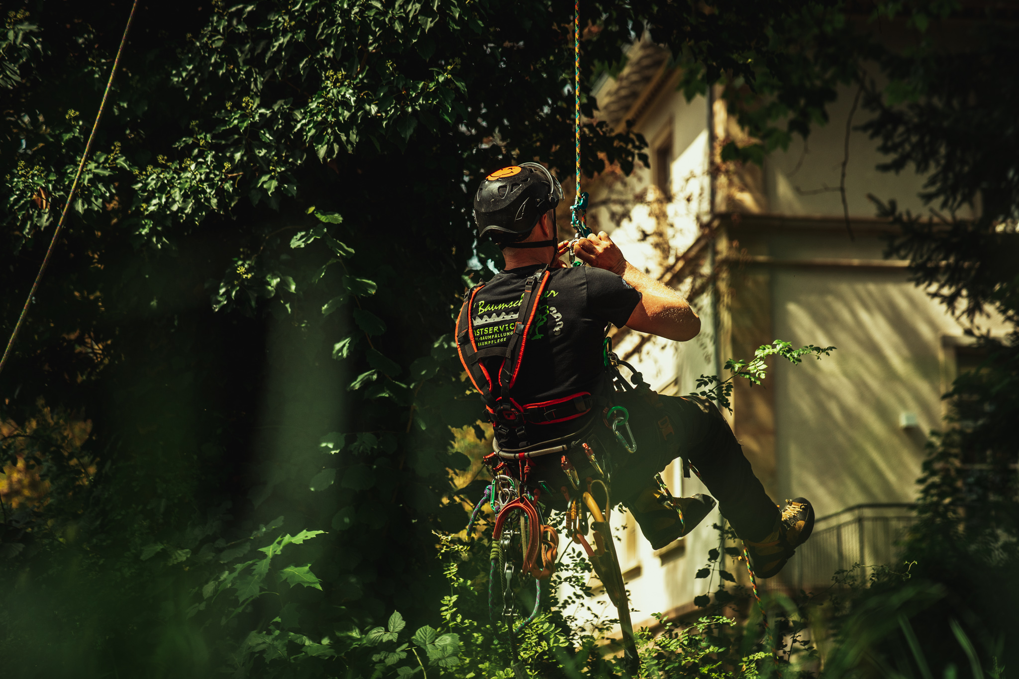 Baumschubser_Forst_-47