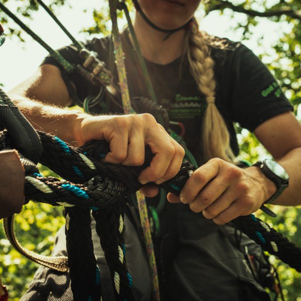 Baumschubser_Forst_-55