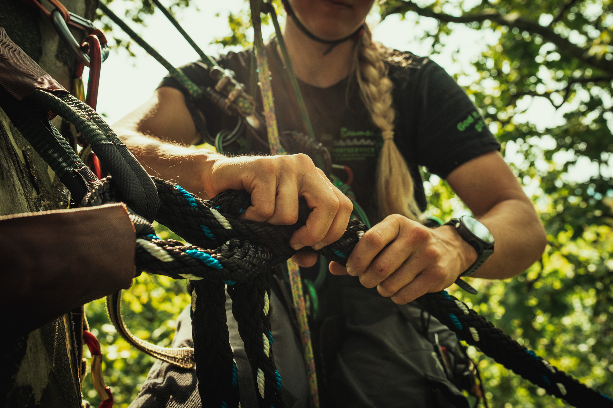 Baumschubser_Forst_-55