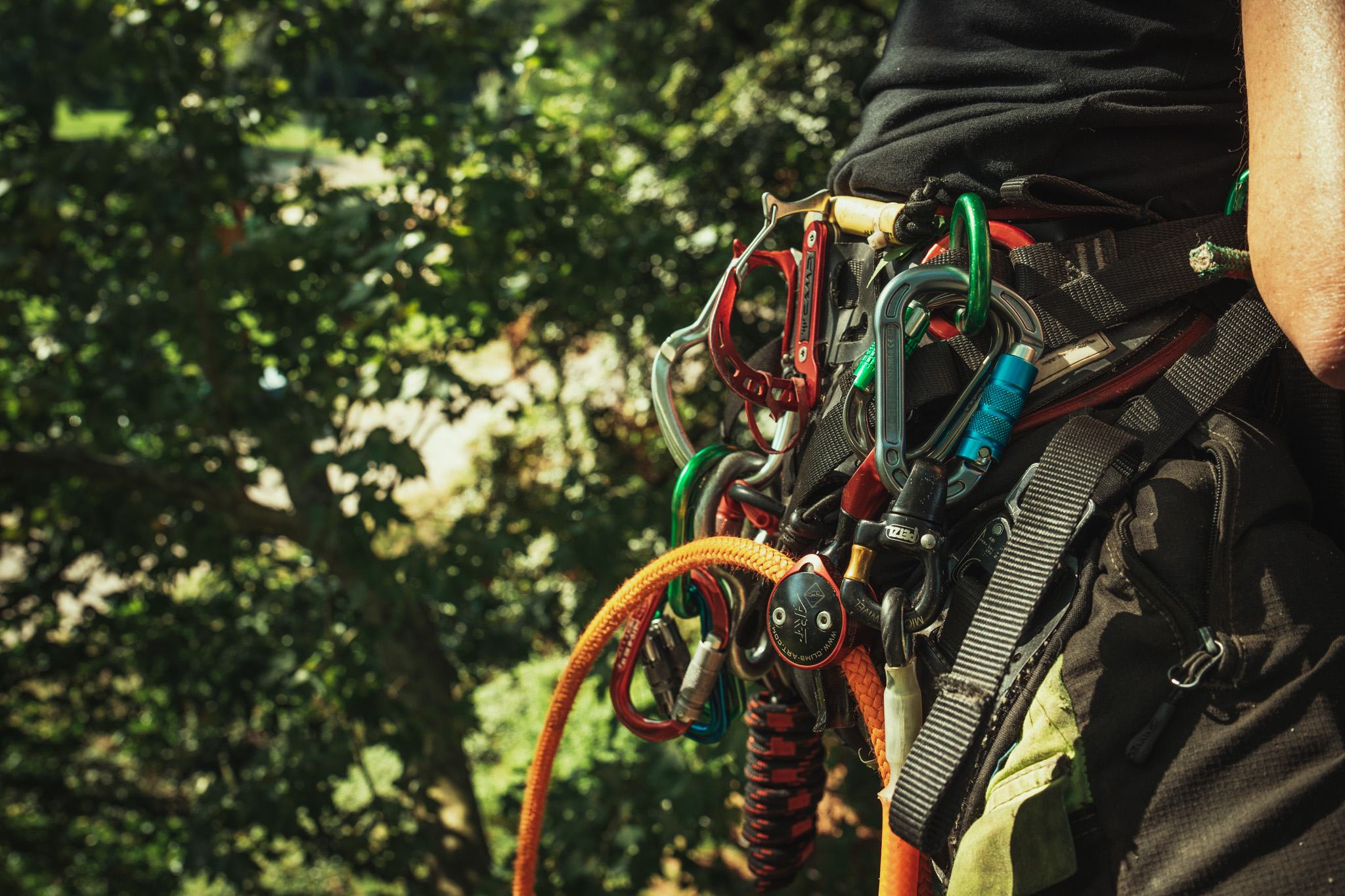 Baumschubser_Forst_-77