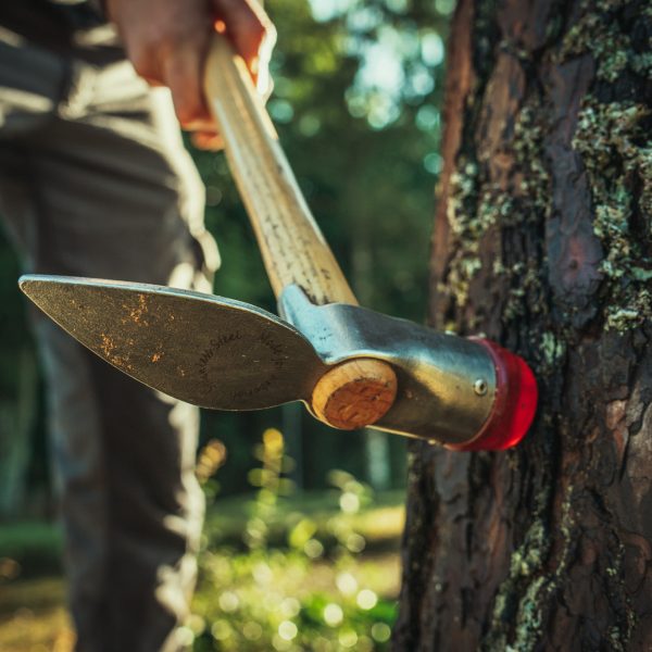 Baumschubser_Forst_-81